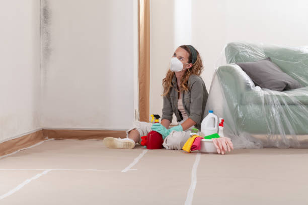 Reliable Black Mold Removal contractor in Lilly, PA by WQB Mold Removal